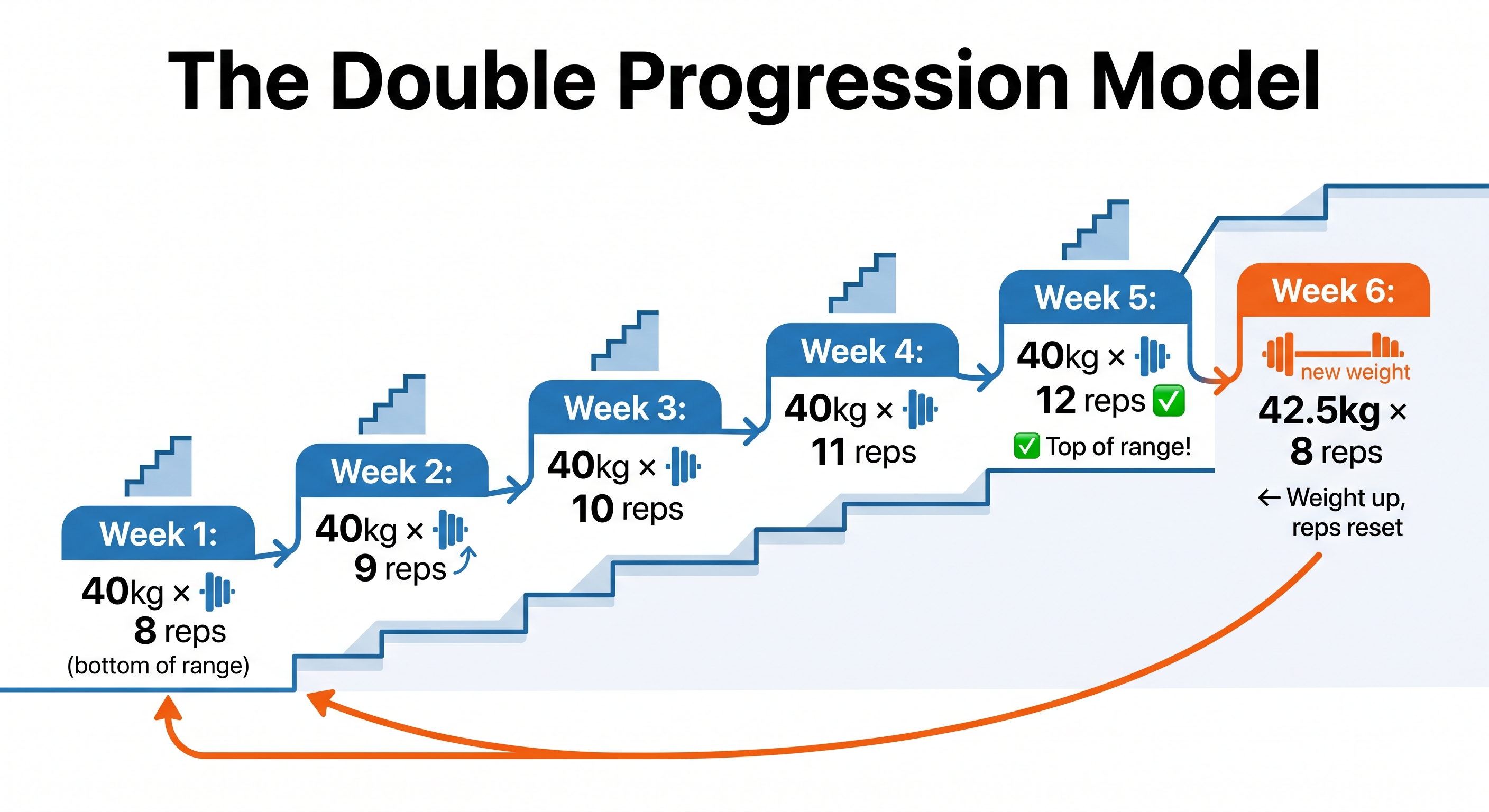 The Double Progression Model