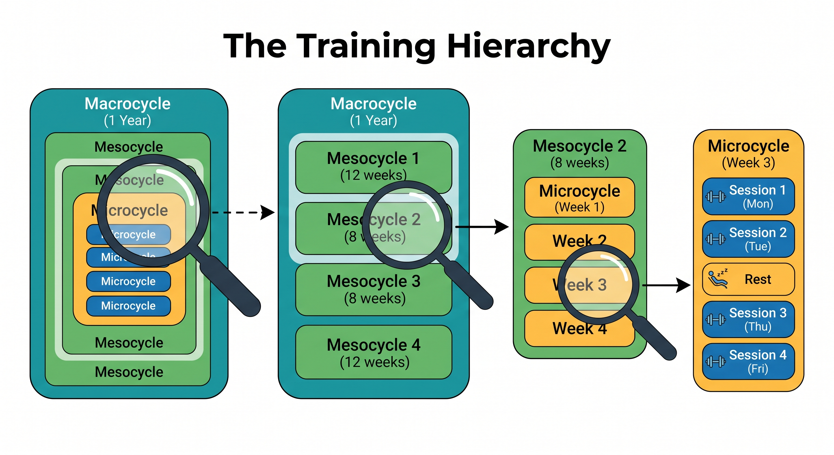 The Training Hierarchy